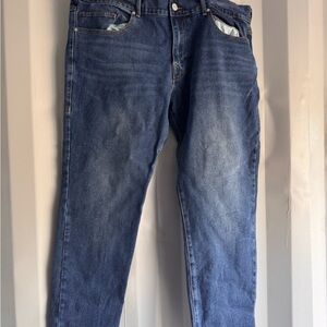 True Religion Men's Blue Jeans